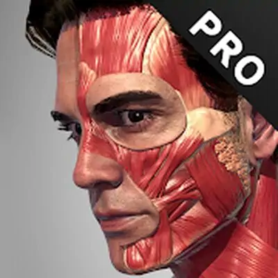 Download Action Anatomy Pro MOD APK [Premium] for Android ver. 1.0.0