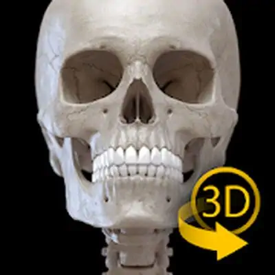 Download Skeleton | 3D Anatomy MOD APK [Pro Version] for Android ver. 3.0.40