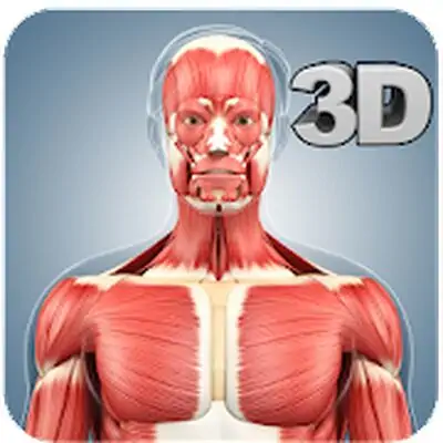 Download Muscle Anatomy Pro. MOD APK [Ad-Free] for Android ver. 1.6