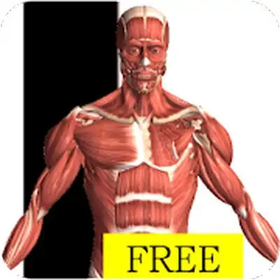 Download Visual Anatomy Free MOD APK [Unlocked] for Android ver. Varies with device