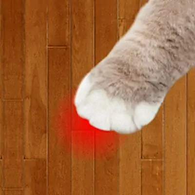 Cat laser sounds!