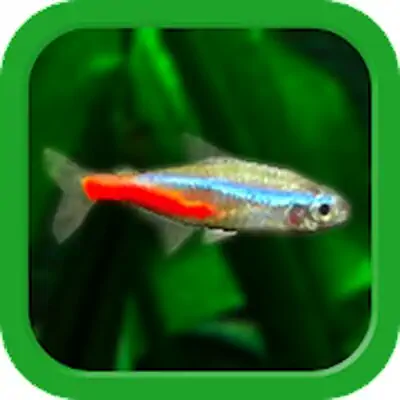 Download Tropical Fish Tank MOD APK [Unlimited Money] for Android ver. 3.6