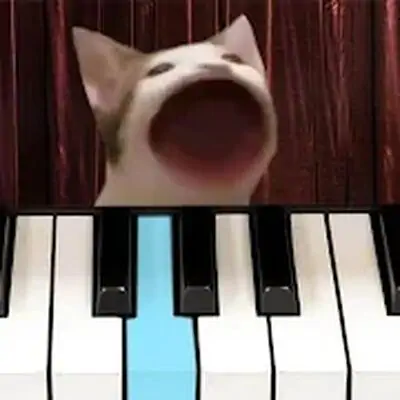 Download Pop Cat Piano MOD APK [Free Shopping] for Android ver. 8.0