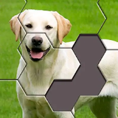 Download Hexa Jigsaw Puzzle ® MOD APK [Unlimited Coins] for Android ver. 70.01