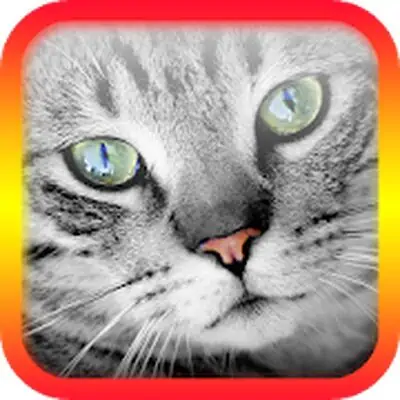 Download Translator for Cats Prank MOD APK [Free Shopping] for Android ver. 5.5