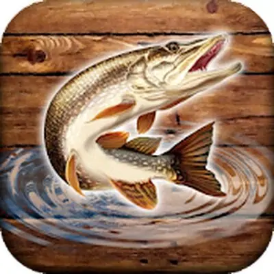 Download Fish rain: sport fishing MOD APK [Unlimited Coins] for Android ver. 0.3.4