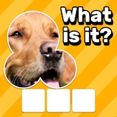 Download Zoom Quiz: Close Up Pics Game MOD APK [Unlocked All] for Android ver. 3.6.1
