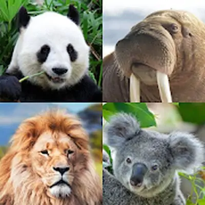 Download Guess: Animals Quiz MOD APK [Free Shopping] for Android ver. 1.0