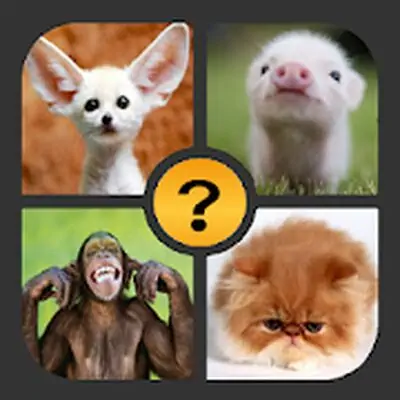 Download 4 Pics 1 Word MOD APK [Unlimited Money] for Android ver. 2.0.3