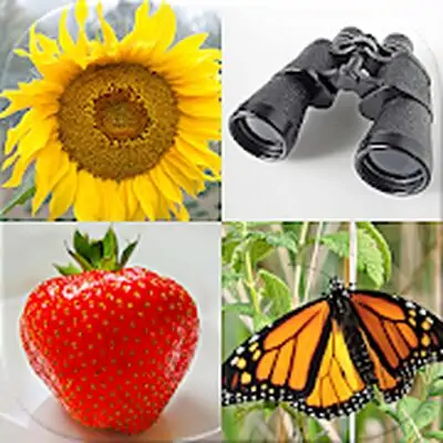 Guess Pictures and Words: Photo-Quiz with 5 Topics