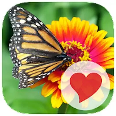 Download 630 Pics MOD APK [Unlimited Money] for Android ver. 1.0.1