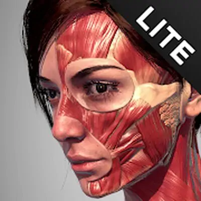 Download Action Anatomy MOD APK [Premium] for Android ver. 1.0.2