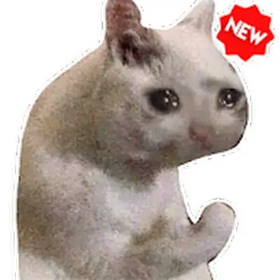 Download Funny Cat Memes Stickers WAStickerApps MOD APK [Unlocked] for Android ver. 1.7.0
