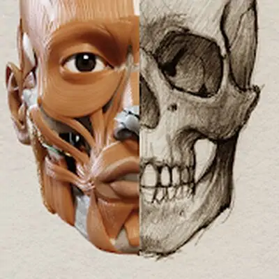 Download 3D Anatomy for the Artist MOD APK [Pro Version] for Android ver. 2.0.10
