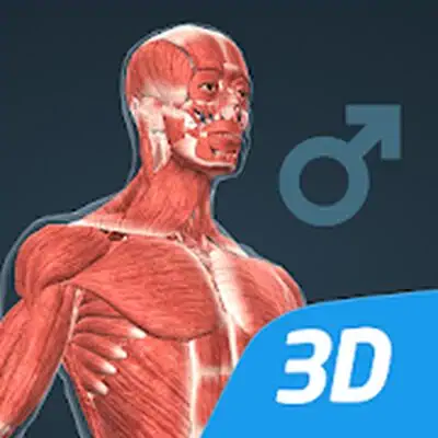 Download Human body (male) educational VR 3D MOD APK [Ad-Free] for Android ver. 1.26