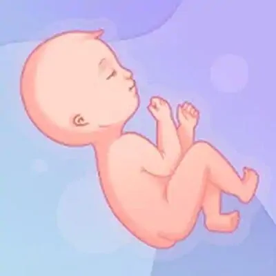 Pregnancy, Childbirth, Prenatal, & Maternity Info