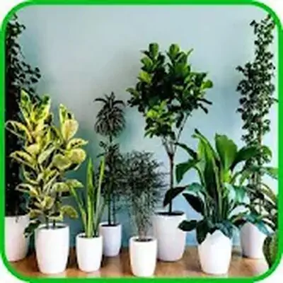 Download Indoor Plants MOD APK [Premium] for Android ver. 3.5