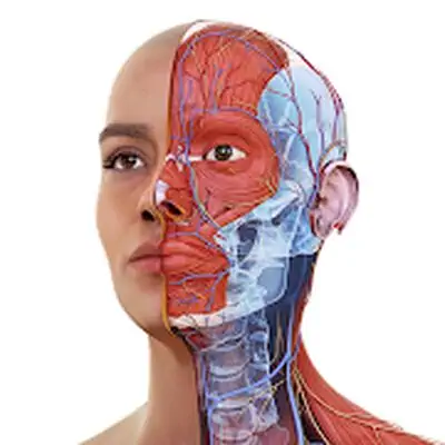 Download Complete Anatomy 2022 MOD APK [Unlocked] for Android ver. 8.3.0