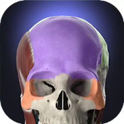 Download Anatomyka MOD APK [Ad-Free] for Android ver. 2.4.1