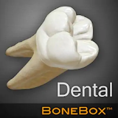 Download BoneBox™ MOD APK [Ad-Free] for Android ver. 1.1