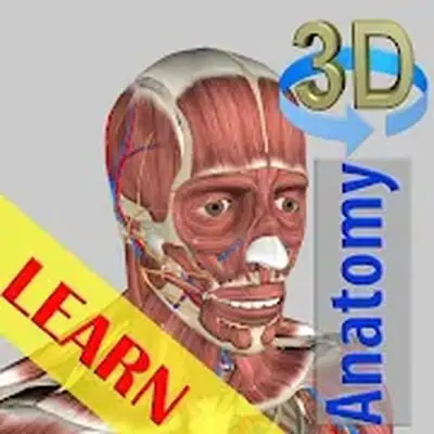 Download 3D Bones and Organs (Anatomy) MOD APK [Unlocked] for Android ver. Varies with device