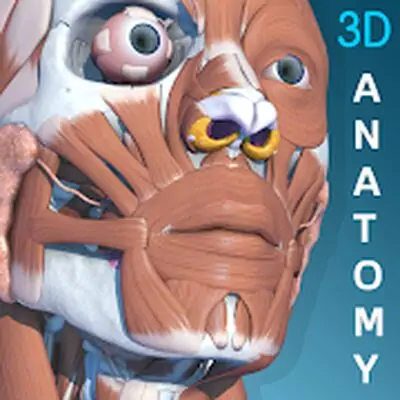 Download Visual Anatomy 3D MOD APK [Pro Version] for Android ver. 1.8