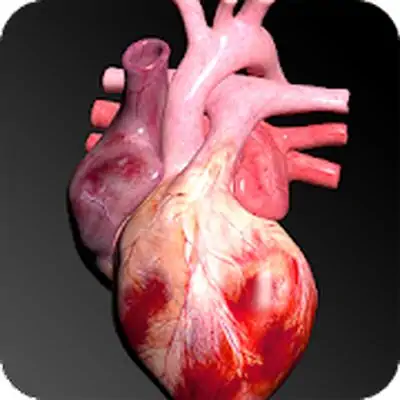 Download Circulatory System in 3D (Anatomy) MOD APK [Unlocked] for Android ver. 1.58