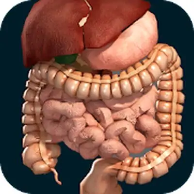 Download Internal Organs in 3D (Anatomy) MOD APK [Premium] for Android ver. 2.5