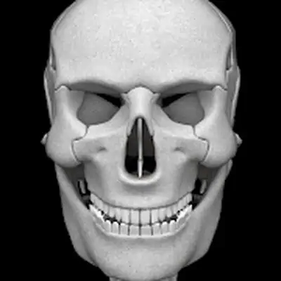 Download Osseous System in 3D (Anatomy) MOD APK [Pro Version] for Android ver. 3.0.7