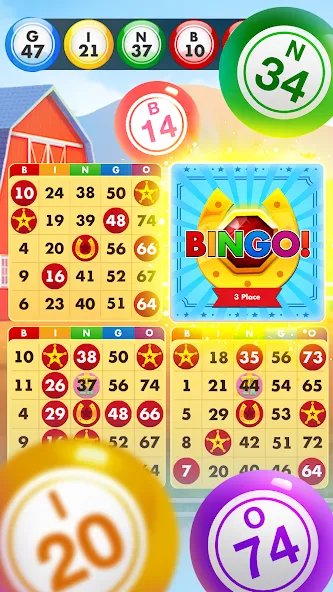 Bingo Country Boys: Tournament (Бинго Кантри Бойз) [МОД: Все открыто, Дополнительные деньги и Меню MOD] Screenshot 2