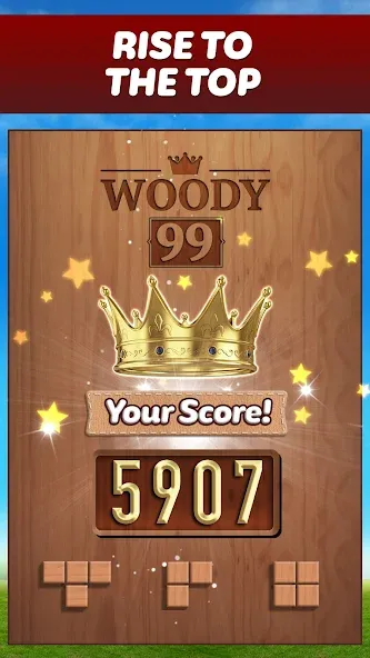 Woody 99 - Sudoku Block Puzzle (Вуди 99) [МОД: Много денег, Монет и Все открыто] Screenshot 5