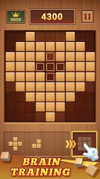 Wood Block 99 - Sudoku Puzzle (Вуд Блок 99) [МОД: Много монет, Открытые уровни и Мега MOD] Screenshot 2