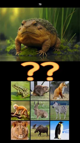 Hybrid Animals Crazy Lab Quiz (Хибридные животные Сумасшедшая лаборатория Викторина) [МОД: Все открыто, Дополнительные деньги и Меню MOD] Screenshot 4