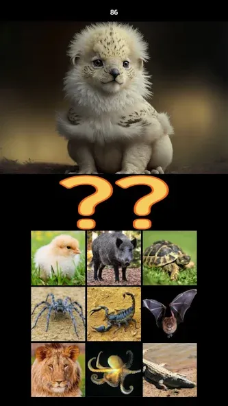 Hybrid Animals Crazy Lab Quiz (Хибридные животные Сумасшедшая лаборатория Викторина) [МОД: Все открыто, Дополнительные деньги и Меню MOD] Screenshot 5