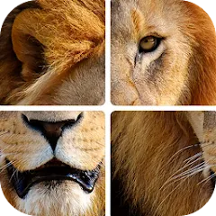 Скачать Угадай животных по фрагментам [МОД: Много монет, Открытые уровни и Мега MOD] | Взлом Угадай животных по фрагментам на Андроид