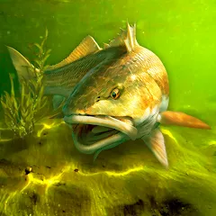 Скачать My Fishing World (Мой рыболовный мир) [МОД: Меню, Бесконечные монеты и Открытые уровни] | Взлом My Fishing World на Андроид