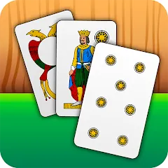 Скачать Scopa - Italian Card Game (Скопа) [МОД: Много монет, Открытые уровни и Мега MOD] | Взлом Scopa - Italian Card Game на Андроид