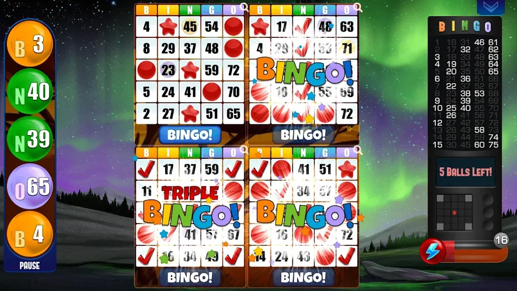 Absolute Bingo [МОД: Все открыто, Дополнительные деньги и Меню MOD] Screenshot 2