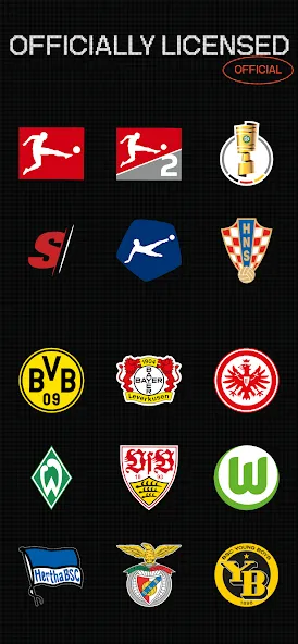 The Football Club - TFC (Зе Футбол Клуб) [МОД: Бесконечные деньги, Монеты и Мега MOD] Screenshot 5