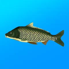 Скачать True Fishing. Simulator [МОД: Много монет, Открытые уровни и Мега MOD] | Взлом True Fishing. Simulator на Андроид