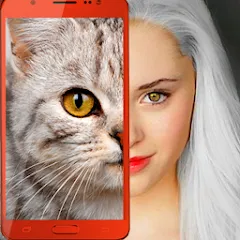 Скачать Kitten: what cat are you? joke [МОД: Деньги, Монеты и Меню MOD] | Взлом Kitten: what cat are you? joke на Андроид