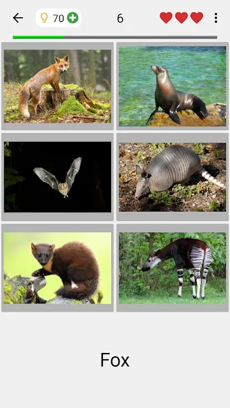 Animals Quiz Learn All Mammals [МОД: Много денег, Монет и Все открыто] Screenshot 2