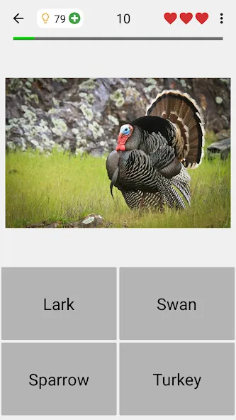 Animals Quiz Learn All Mammals [МОД: Много денег, Монет и Все открыто] Screenshot 4