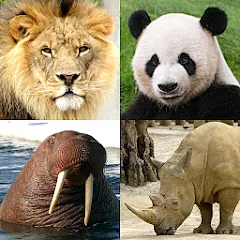 Скачать Animals Quiz Learn All Mammals [МОД: Много денег, Монет и Все открыто] | Взлом Animals Quiz Learn All Mammals на Андроид
