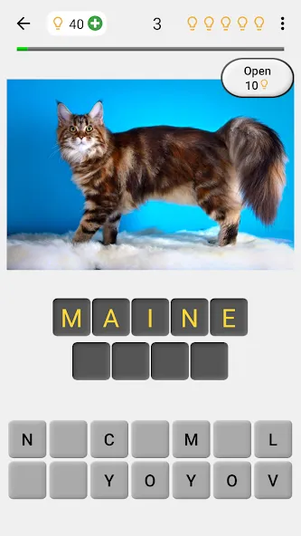 Cats Quiz Guess Popular Breeds [МОД: Бесконечные деньги, Монеты и Мега MOD] Screenshot 1