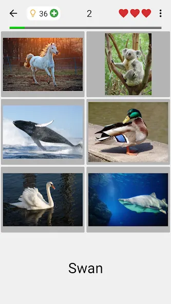 Guess Pictures and Words Quiz [МОД: Все открыто, Дополнительные деньги и Меню MOD] Screenshot 2