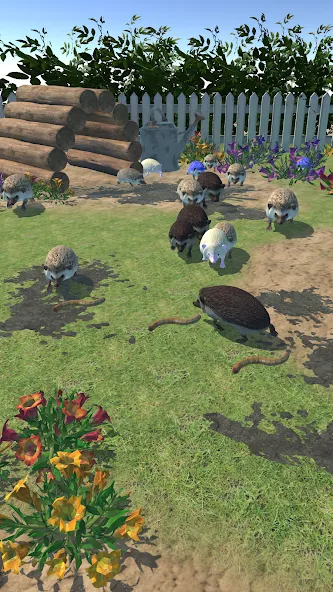 Hedgehog Friends (Хеджхог Френдс) [МОД: Деньги, Монеты и Меню MOD] Screenshot 2