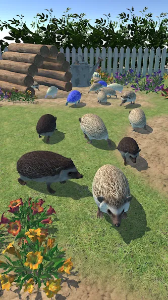 Hedgehog Friends (Хеджхог Френдс) [МОД: Деньги, Монеты и Меню MOD] Screenshot 3