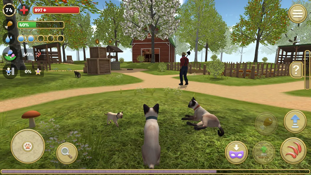 Cat Simulator : Kitties Family [МОД: Все открыто, Дополнительные деньги и Меню MOD] Screenshot 1
