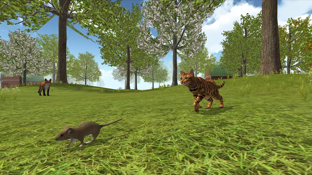 Cat Simulator : Kitties Family [МОД: Все открыто, Дополнительные деньги и Меню MOD] Screenshot 4